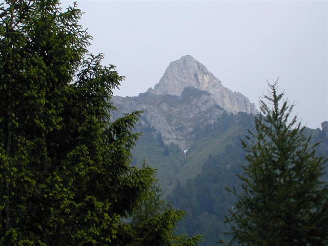 Ingrandisci