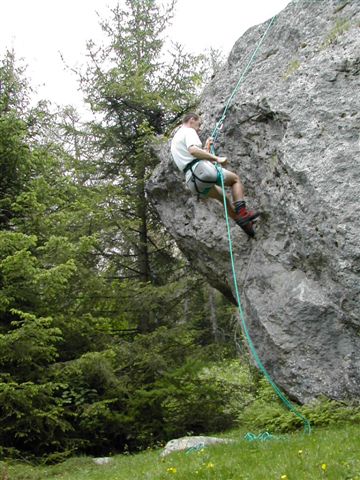 Ingrandisci