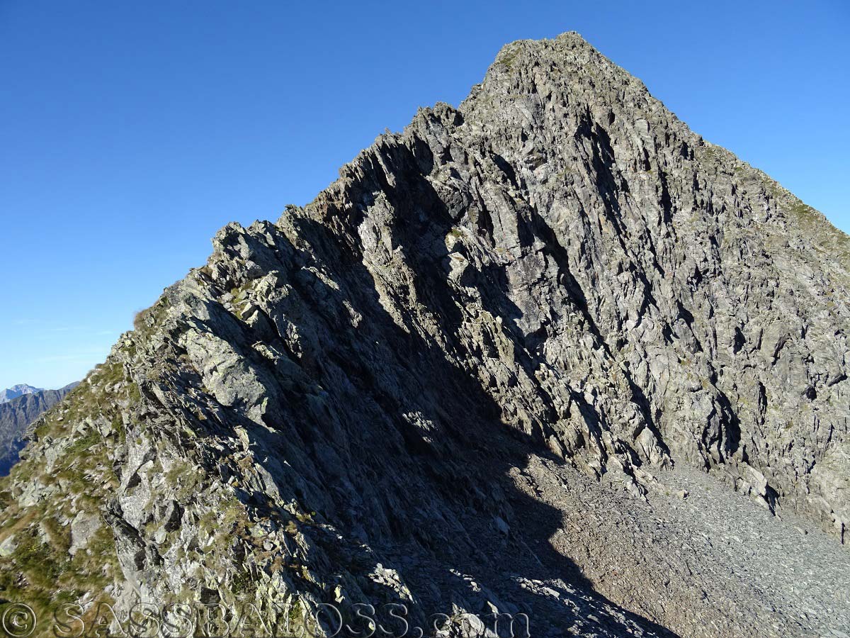 Ingrandisci