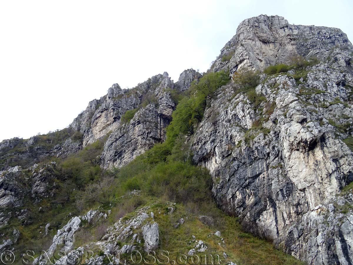 Ingrandisci