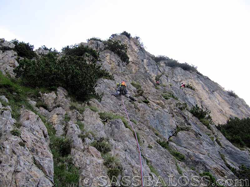 Ingrandisci