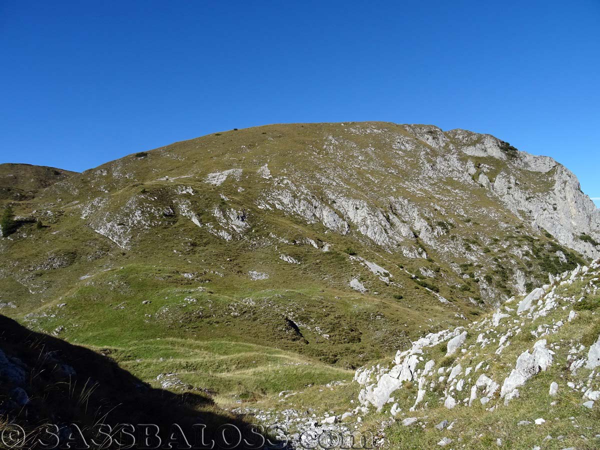 Ingrandisci