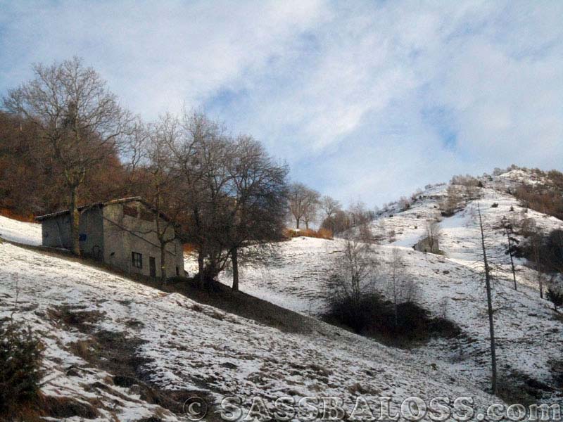 Ingrandisci