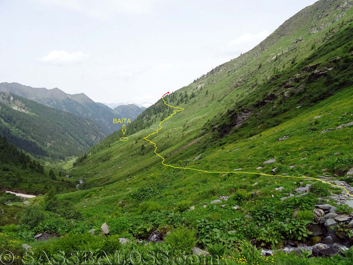 Ingrandisci