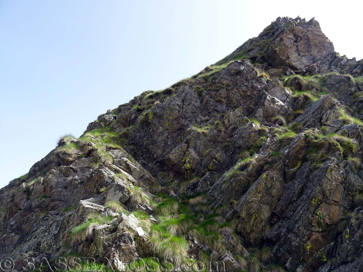 Ingrandisci