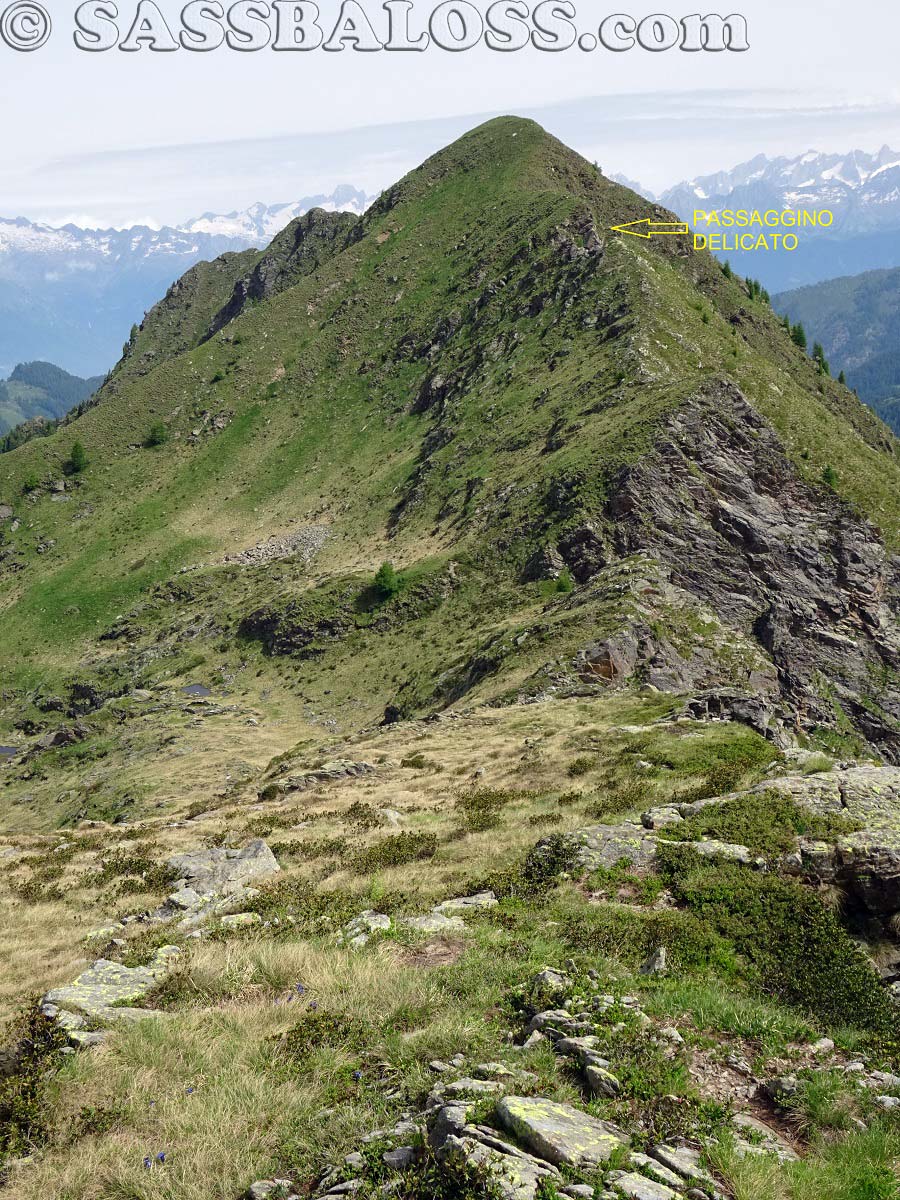 Ingrandisci