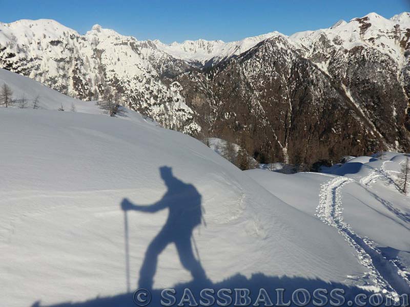 Ingrandisci