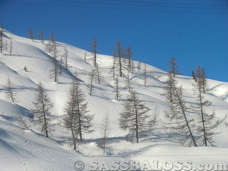 Ingrandisci