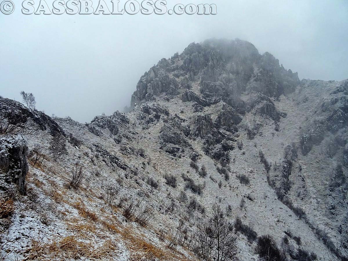 Ingrandisci