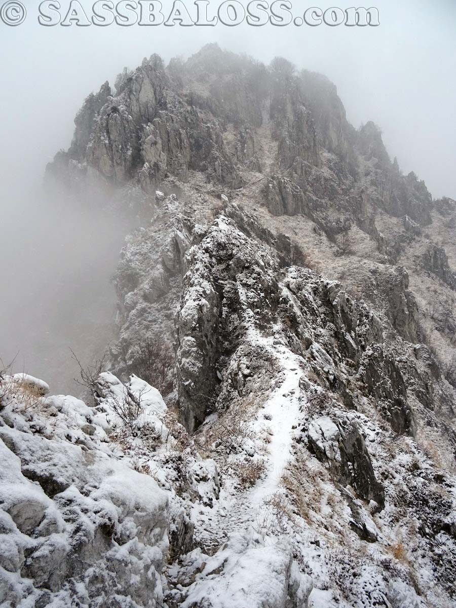 Ingrandisci