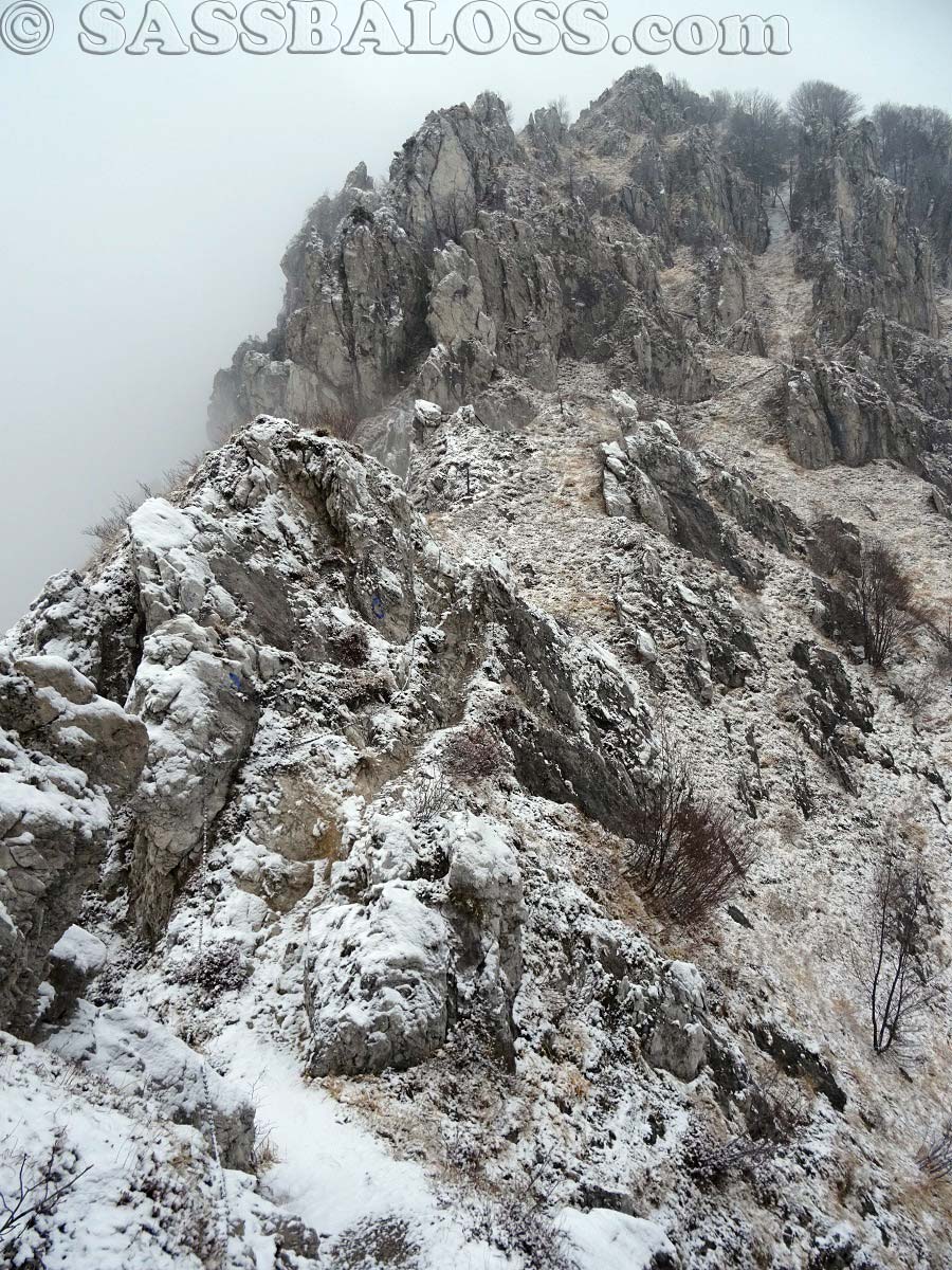 Ingrandisci