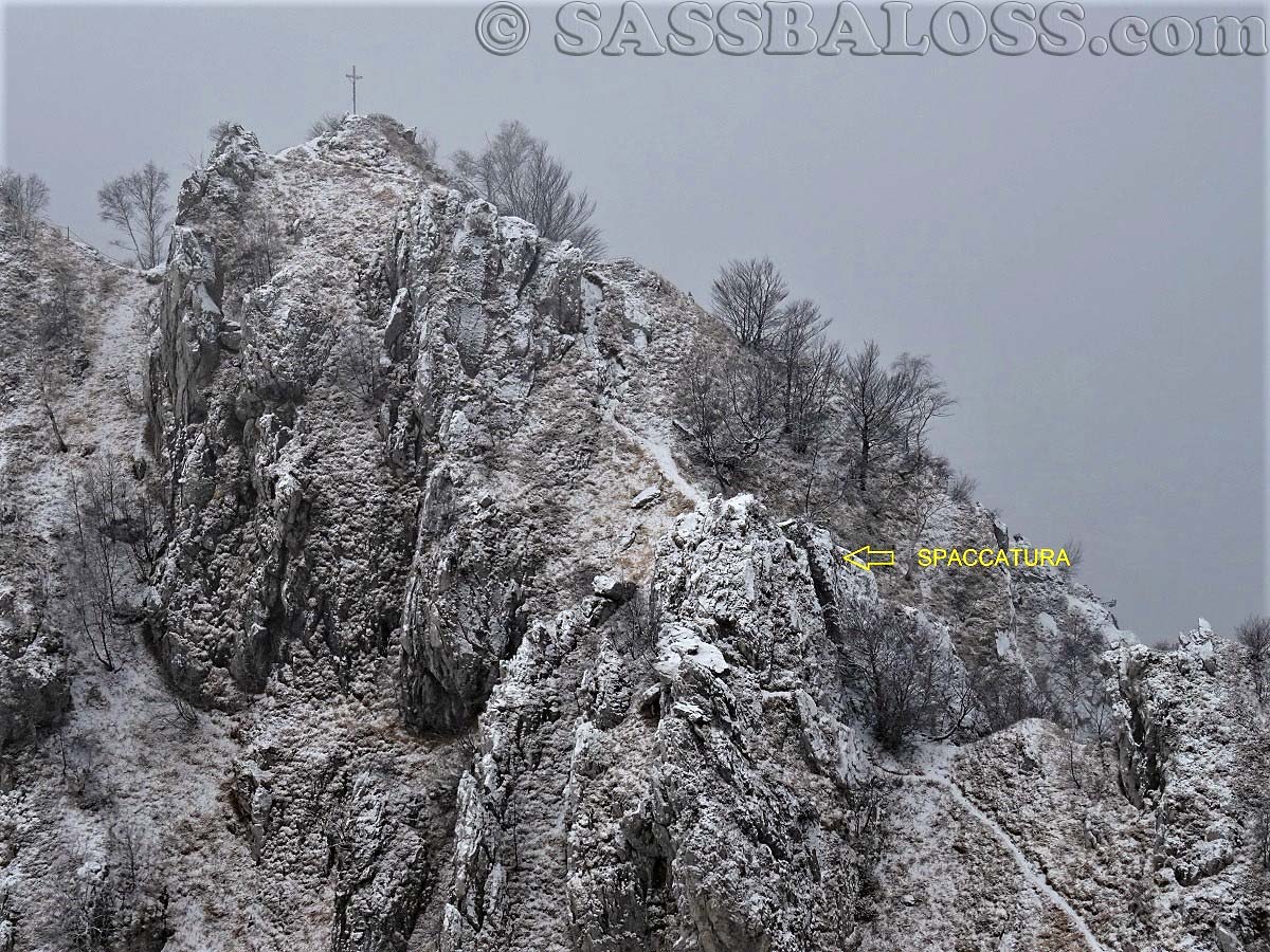 Ingrandisci