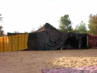 Tenda Berbera