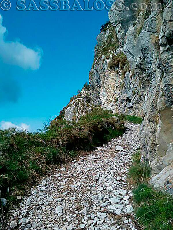 Ingrandisci