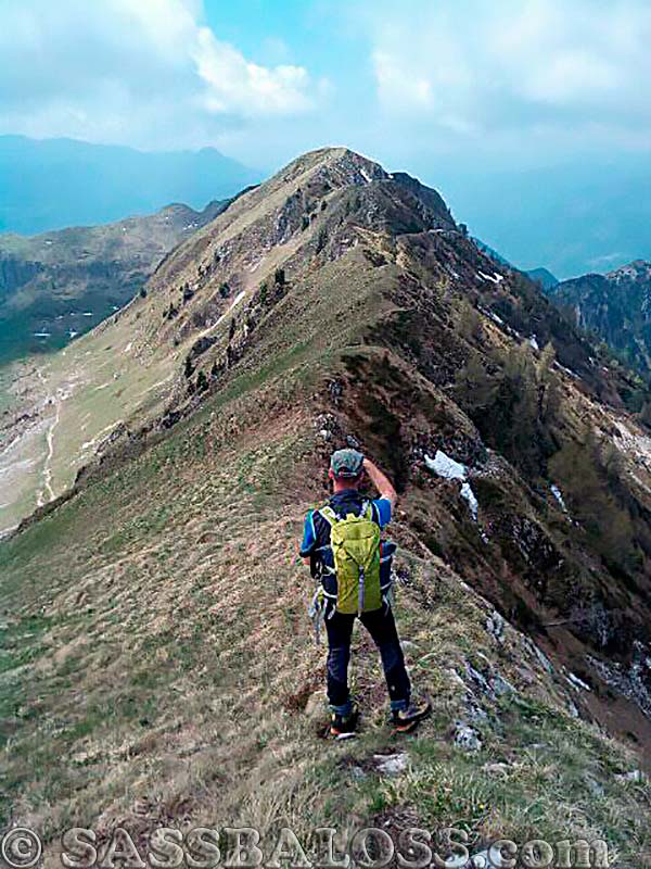 Ingrandisci