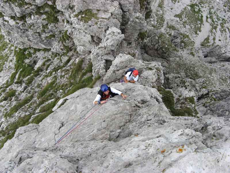 Ingrandisci