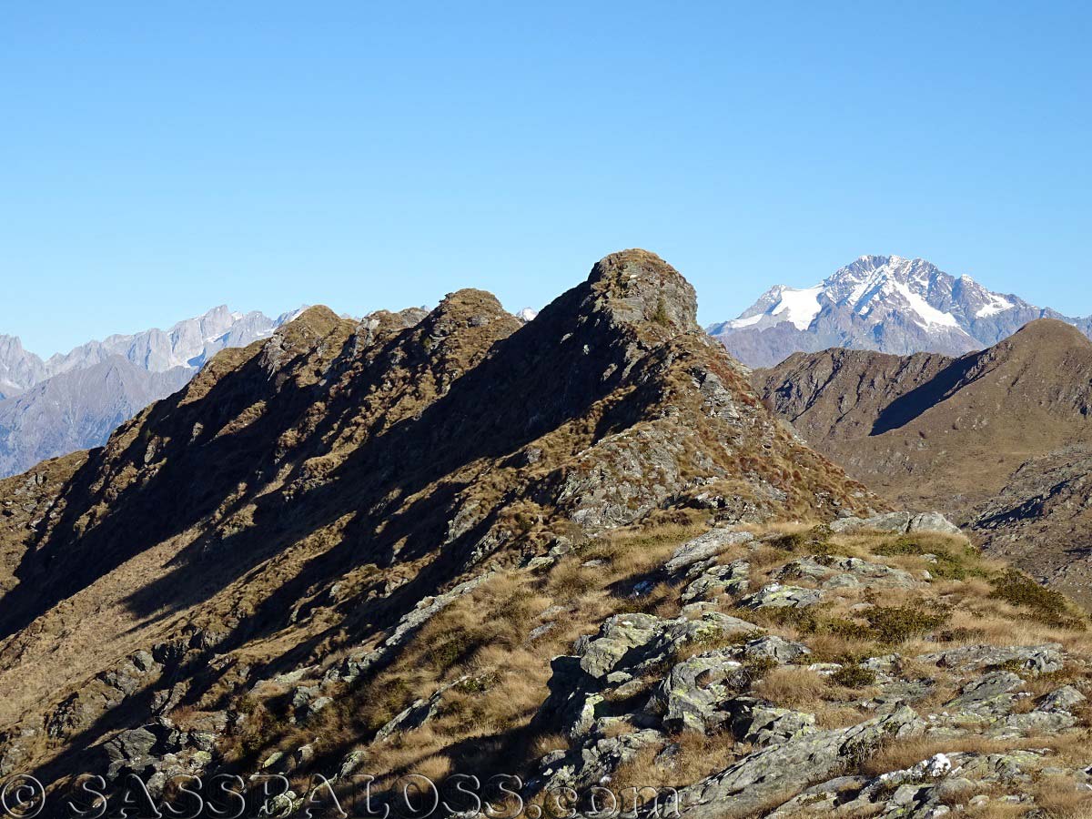 Ingrandisci