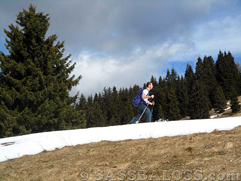 Ingrandisci