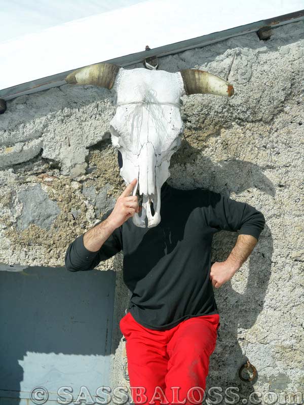 Ingrandisci