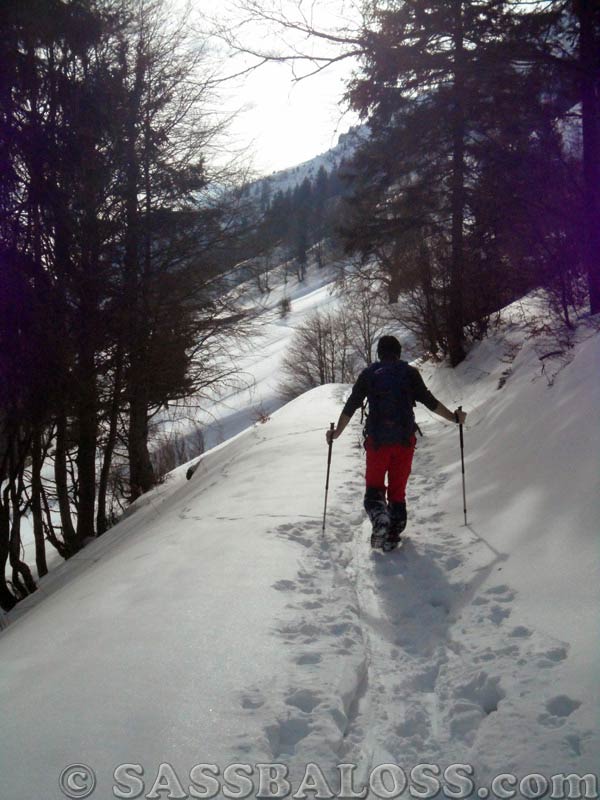 Ingrandisci