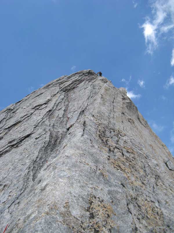 Ingrandisci